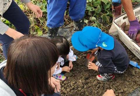 支援学校の児童が農業体験